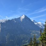 L'Eiger depuis Waldspitz