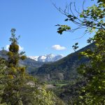 Entre le Torrent de Maraise et le col